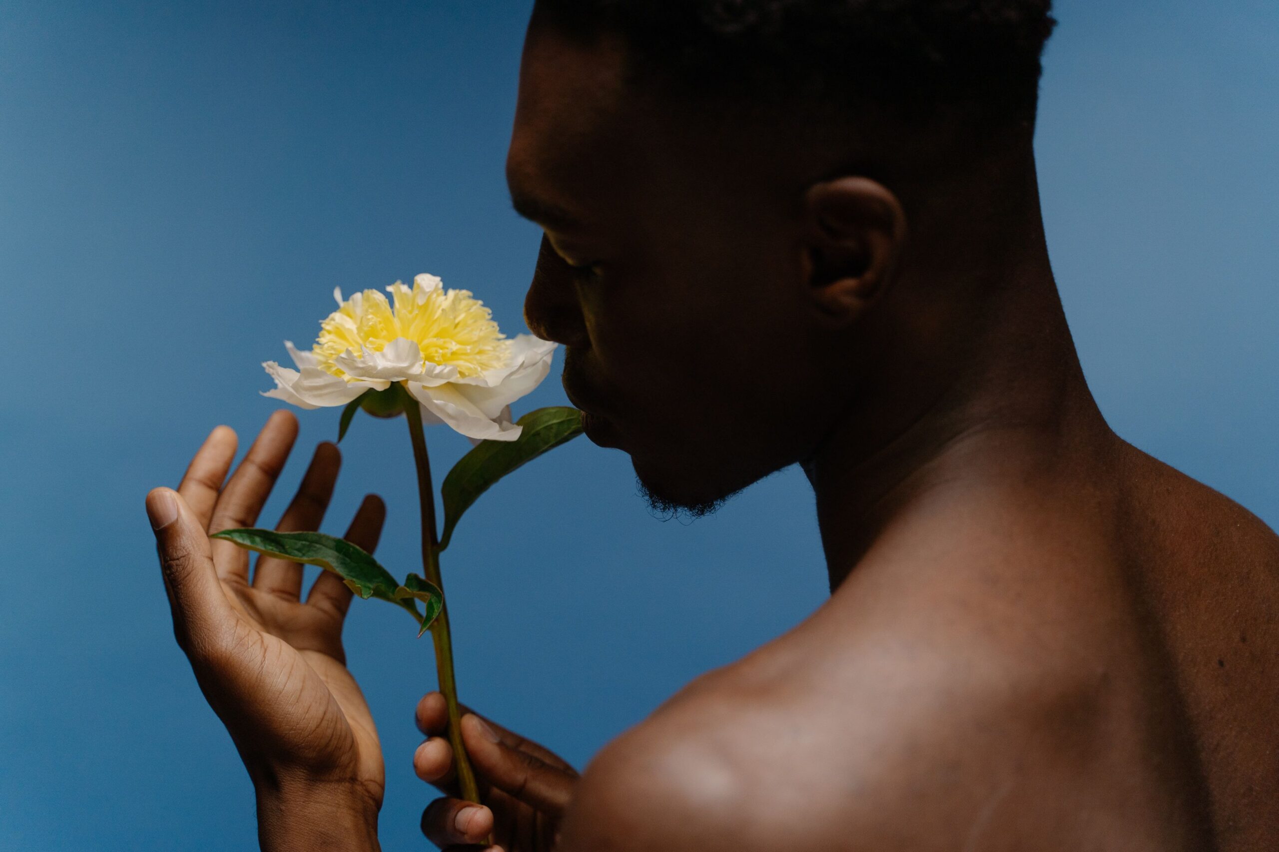 Studio shot of a shirtless man with a white peony against a blue background, showcasing elegance.